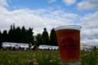 naobf2014027_small.jpg