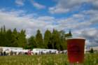naobf2014028_small.jpg