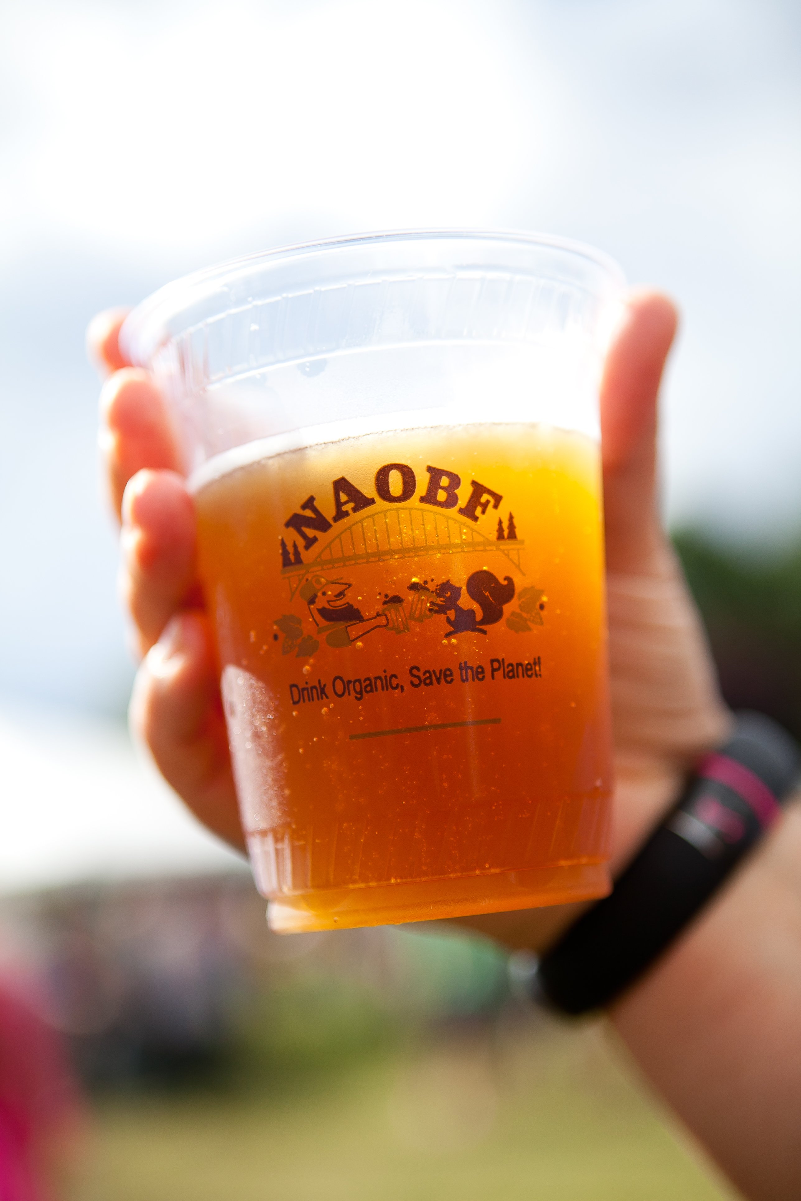 naobf2014061.jpg