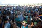 obf2014090_small.jpg