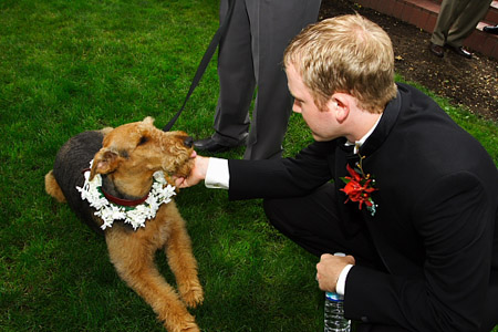 3-Formals-_044-Proof